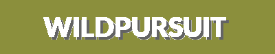 WildPursuit Gear | Wilderness Equipment, Survival Tools, Extreme Sports & Outdoor Fitness